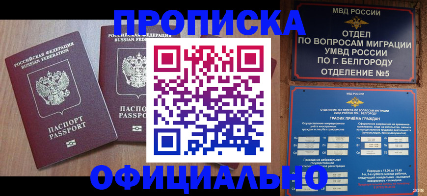 найти адрес прописки в Гулькевичах